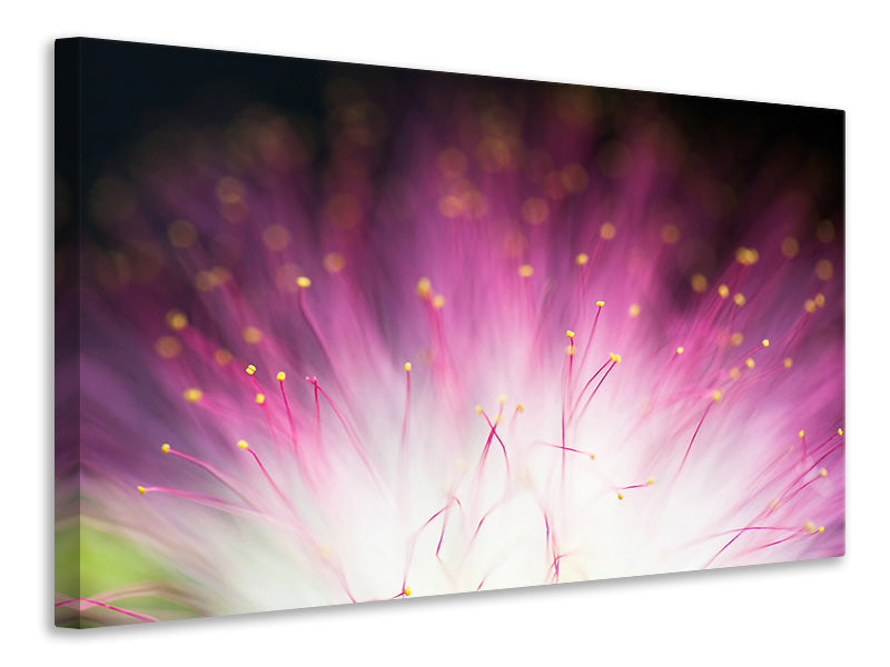 3-piece-canvas-print-elfin