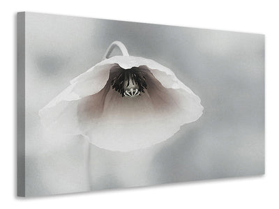 panoramic-3-piece-canvas-print-ephemeral-beauty-ii