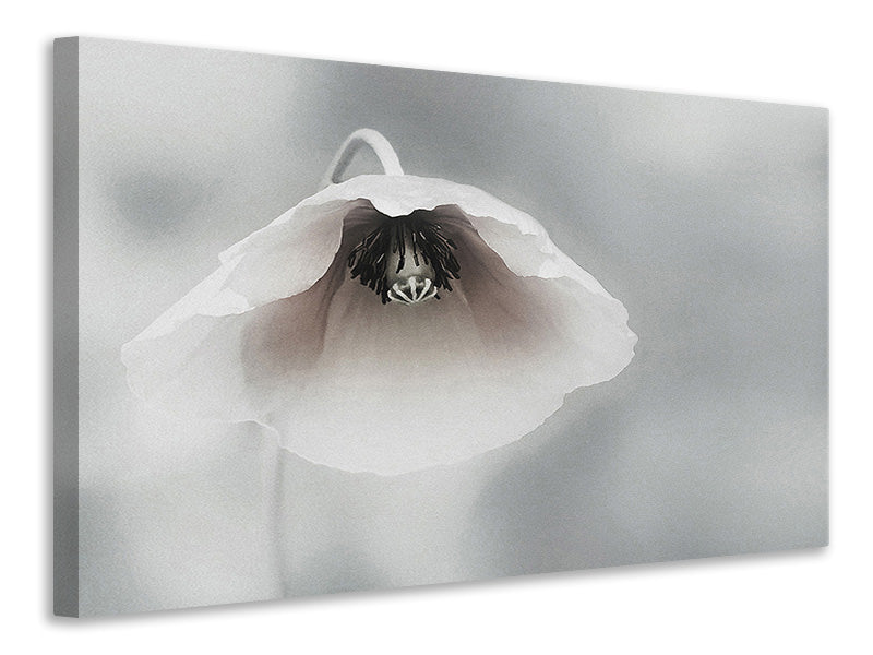 modern-4-piece-canvas-print-ephemeral-beauty-ii