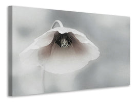 modern-3-piece-canvas-print-ephemeral-beauty-ii