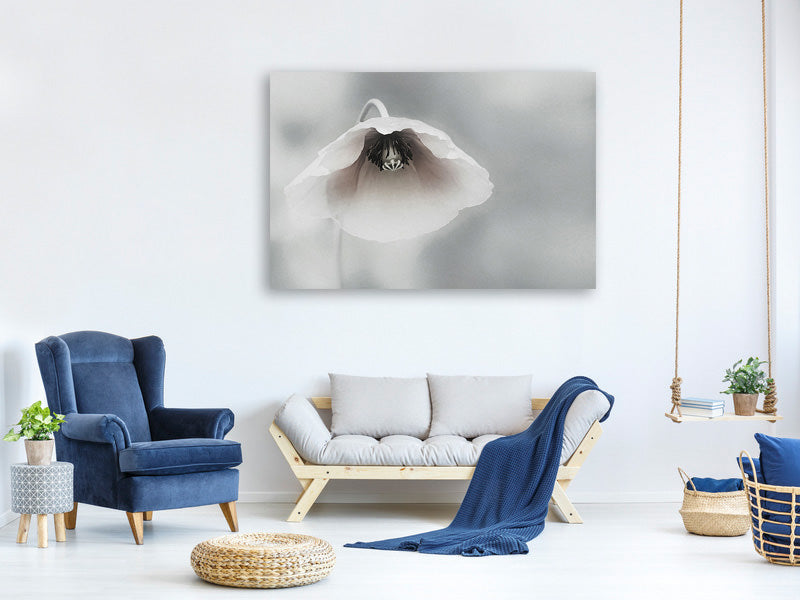 panoramic-canvas-print-ephemeral-beauty-ii