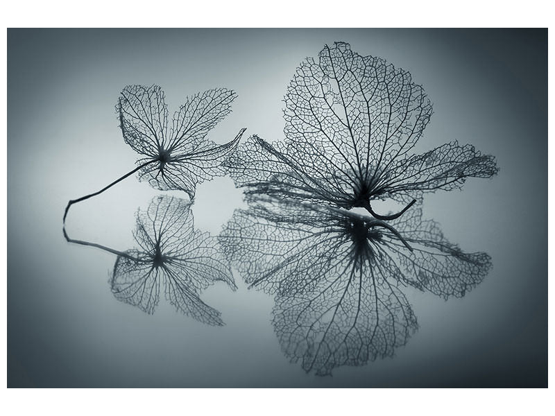 5-piece-canvas-print-ephemeral-beauty