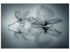 3-piece-canvas-print-ephemeral-beauty