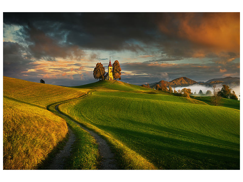 5-piece-canvas-print-evening-light-ii