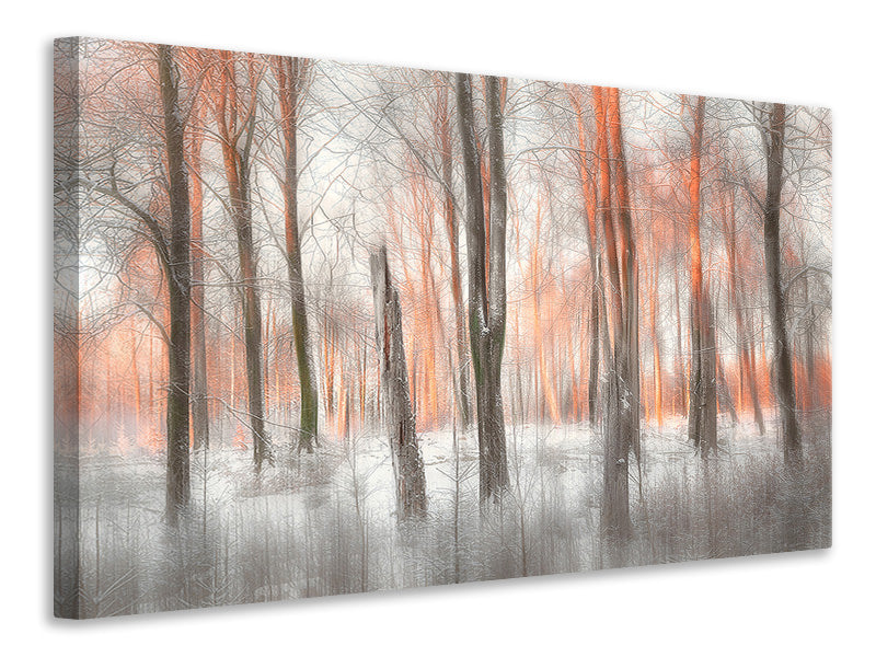 4-piece-canvas-print-evening-light