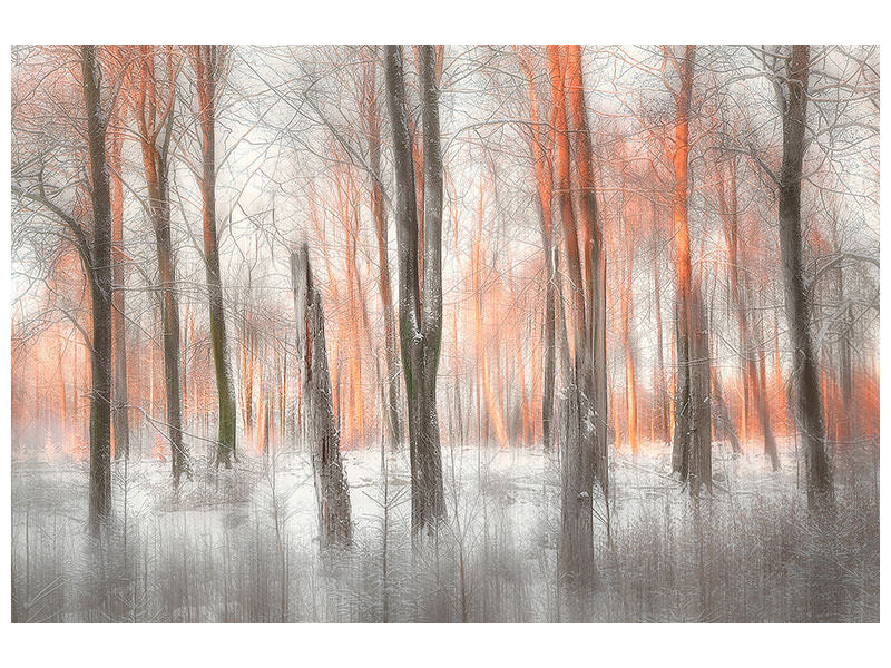 modern-3-piece-canvas-print-evening-light