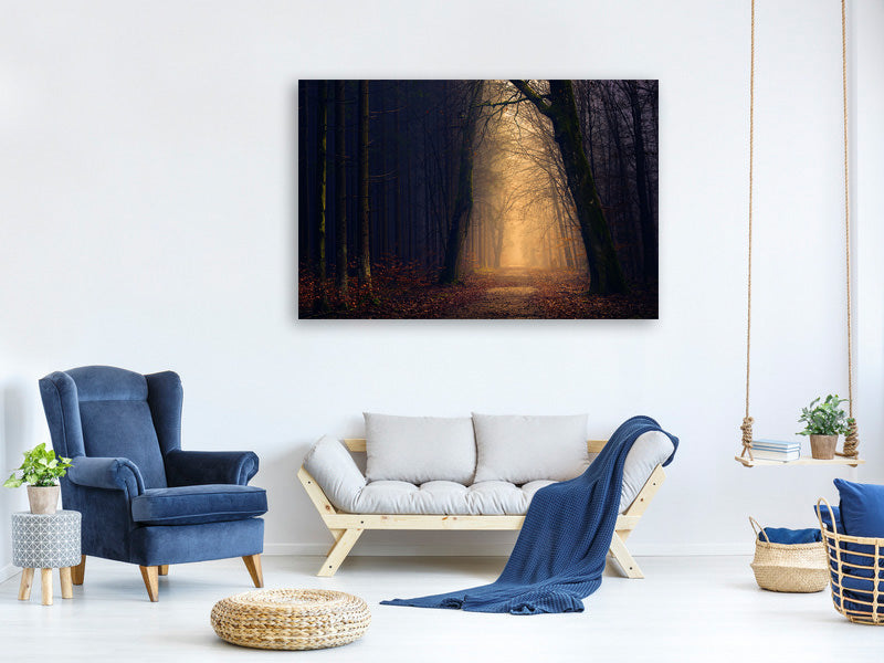 4-piece-canvas-print-evening-mood-in-the-forest