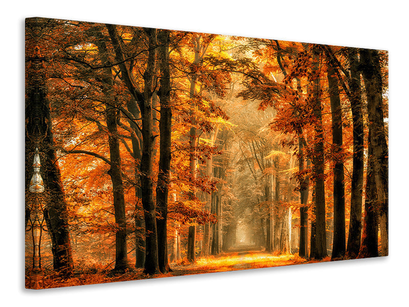 4-piece-canvas-print-exit-the-portal