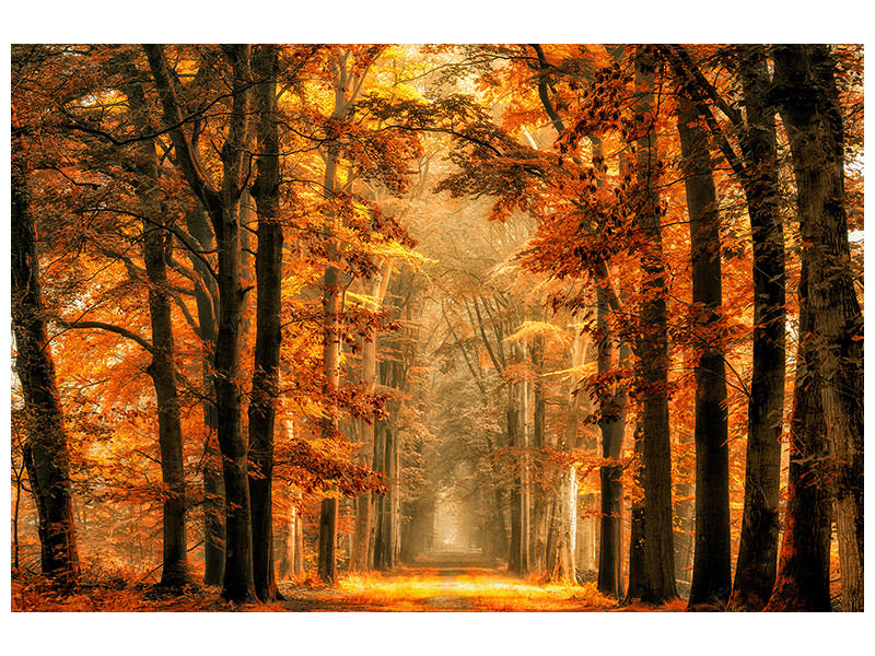 modern-3-piece-canvas-print-exit-the-portal