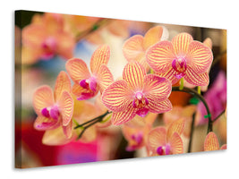 modern-4-piece-canvas-print-exotic-orchids