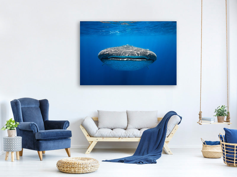 modern-3-piece-canvas-print-face-to-face-with-a-whale-shark