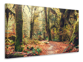 4-piece-canvas-print-fairies-forest