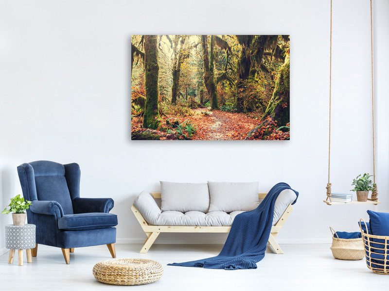 4-piece-canvas-print-fairies-forest