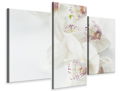 3-piece-canvas-print-fantastic-orchids