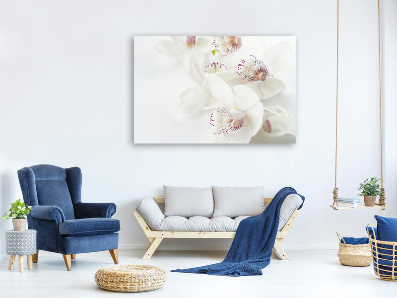 modern-4-piece-canvas-print-fantastic-orchids