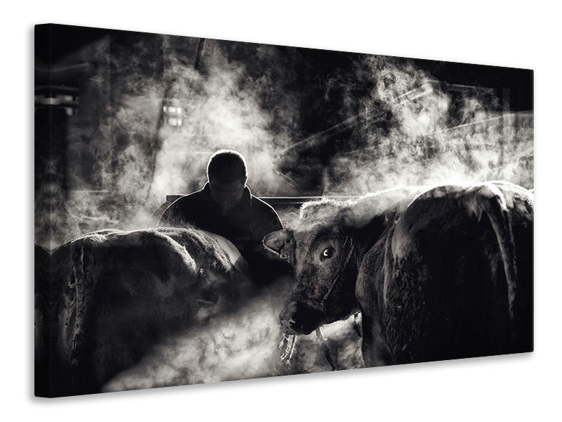 3-piece-canvas-print-farm-life