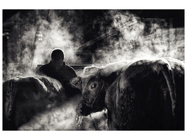 3-piece-canvas-print-farm-life