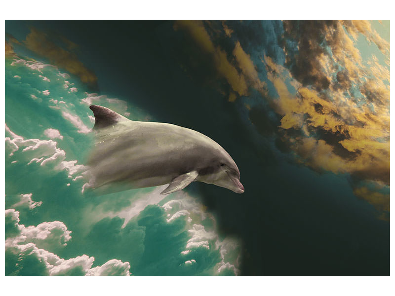 3-piece-canvas-print-fascination-dolphin