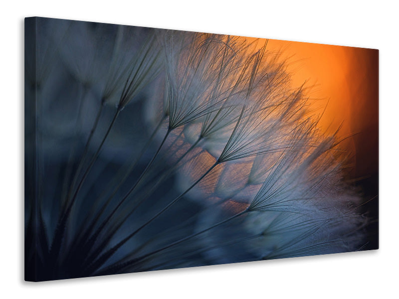 4-piece-canvas-print-feathers-p