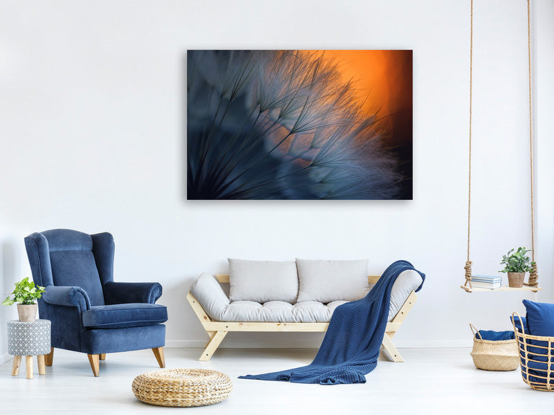 panoramic-3-piece-canvas-print-feathers-p