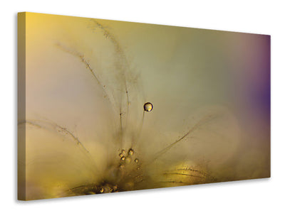 panoramic-3-piece-canvas-print-feeling-of-a-new-day