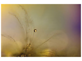 panoramic-3-piece-canvas-print-feeling-of-a-new-day