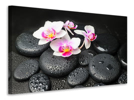 4-piece-canvas-print-feng-shui-orchid-zen