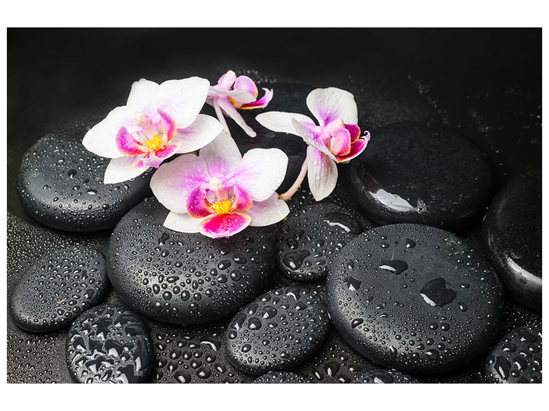 4-piece-canvas-print-feng-shui-orchid-zen