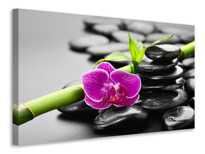 4-piece-canvas-print-feng-shui-orchid