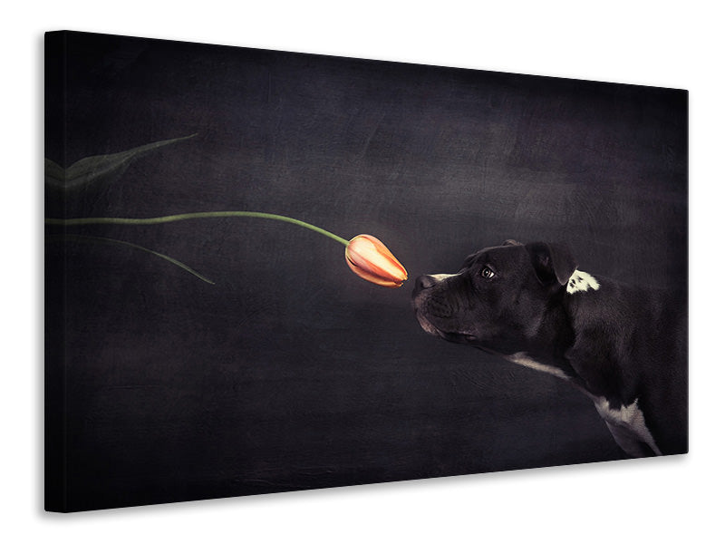 5-piece-canvas-print-first-approach-hildegard-and-the-tulip