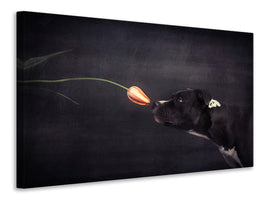 3-piece-canvas-print-first-approach-hildegard-and-the-tulip
