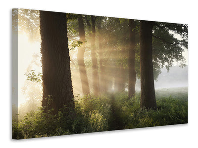 3-piece-canvas-print-first-day-of-summer