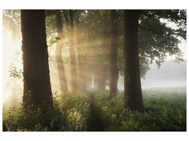 4-piece-canvas-print-first-day-of-summer
