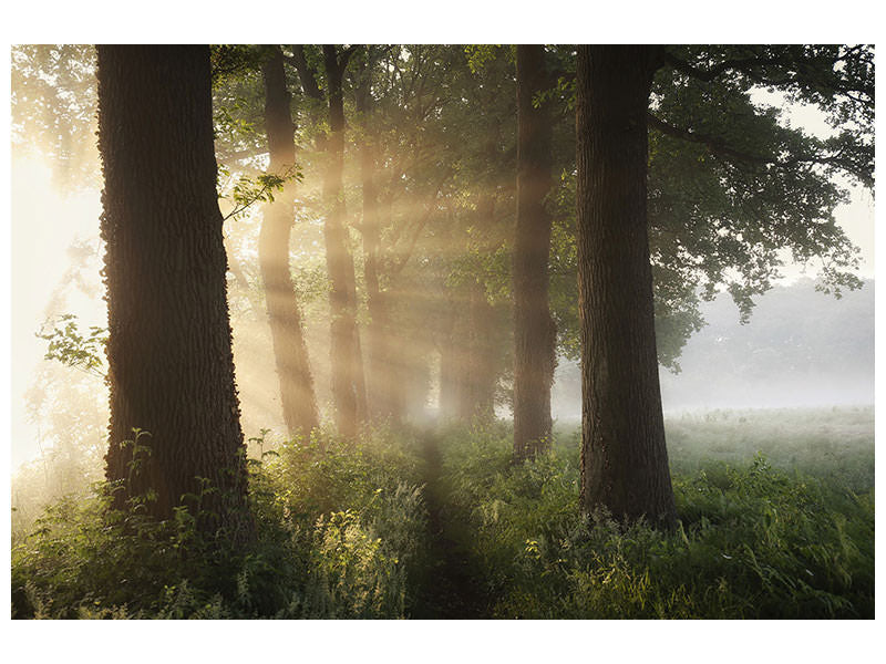4-piece-canvas-print-first-day-of-summer