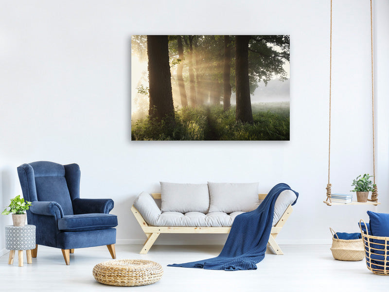 canvas-print-first-day-of-summer