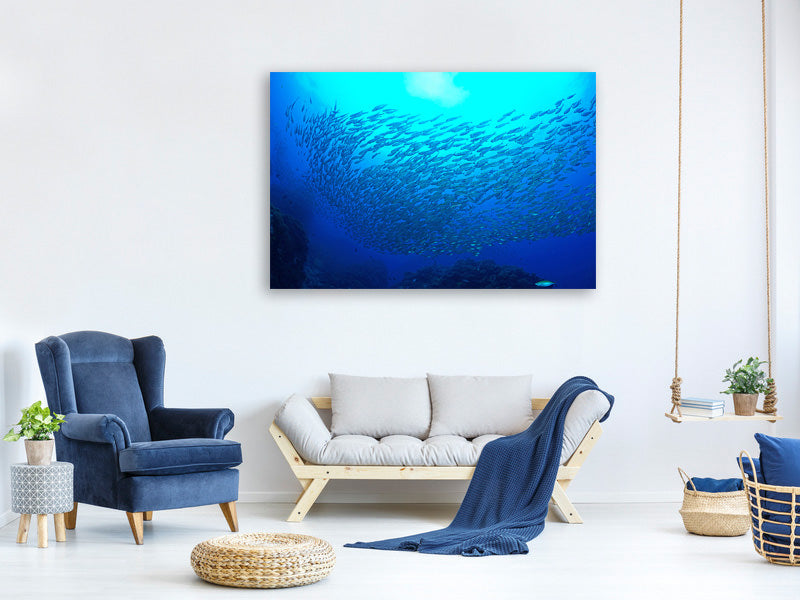 panoramic-3-piece-canvas-print-fish-world