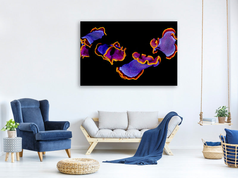 panoramic-3-piece-canvas-print-flamenco