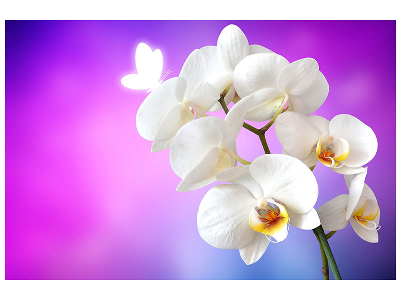 3-piece-canvas-print-flower-power-orchid