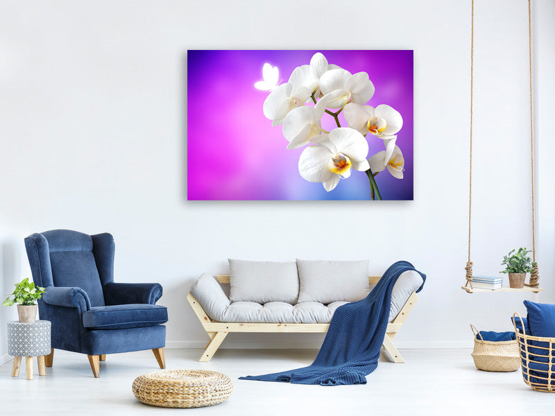 3-piece-canvas-print-flower-power-orchid
