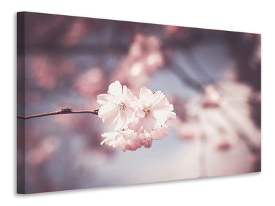 modern-4-piece-canvas-print-flower-xl