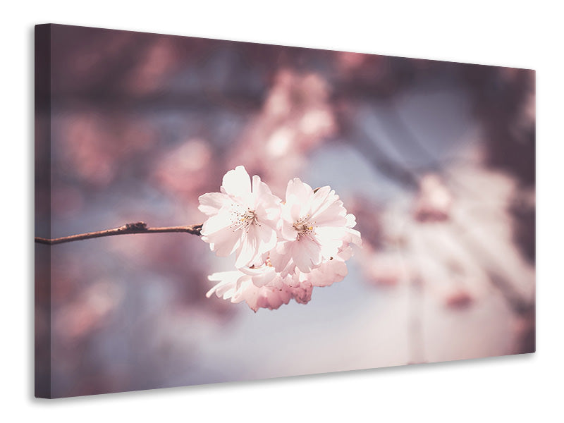 3-piece-canvas-print-flower-xl