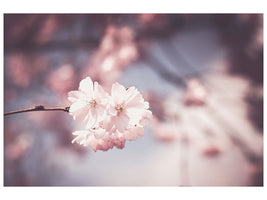 modern-4-piece-canvas-print-flower-xl