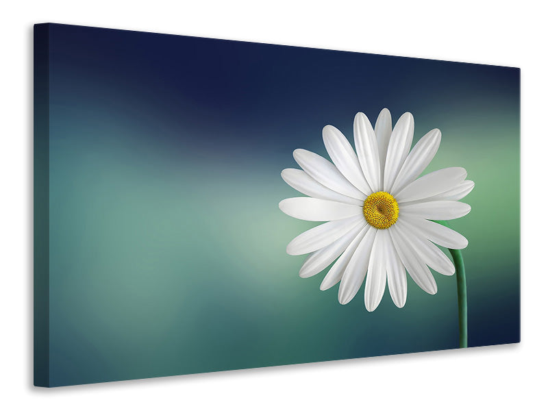 3-piece-canvas-print-flower