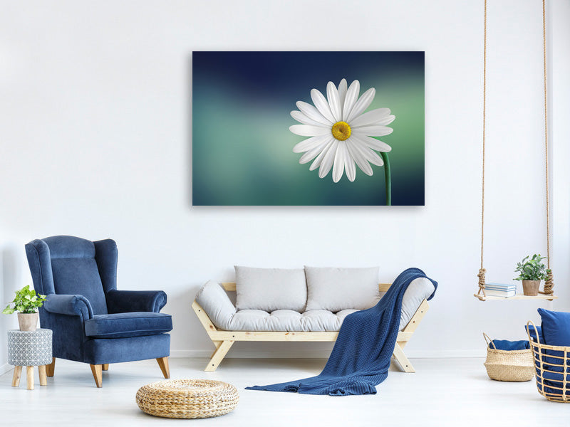 4-piece-canvas-print-flower