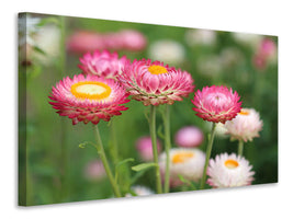 3-piece-canvas-print-flowers-of-spring