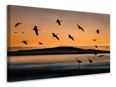 modern-3-piece-canvas-print-fly-in-at-sunset