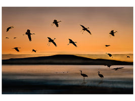 3-piece-canvas-print-fly-in-at-sunset