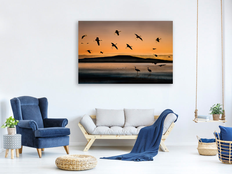 5-piece-canvas-print-fly-in-at-sunset