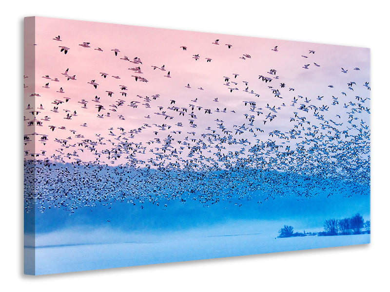 modern-3-piece-canvas-print-flying-in-the-fogging-morning