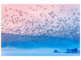 modern-4-piece-canvas-print-flying-in-the-fogging-morning